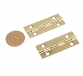 Петля накладная  2807.00.21 цвет - латунь 20х40 мм Германия