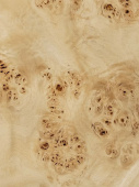 Натуральный шпон из капа Тополя [Poplar burl] ~300х180х0,6мм